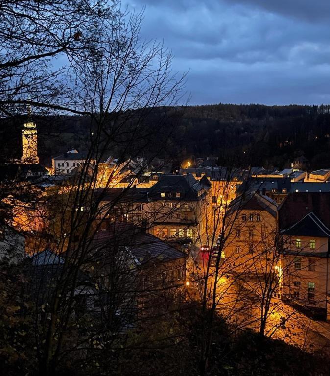 Brauhaus Suite 16 Sebnitz Exteriér fotografie